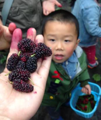 这个季节江西合适去哪里旅游,江西必玩的五A景区