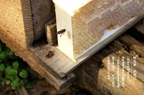 据说，江西人有了这条微信，就能够在韶关打开“仙境之门”！