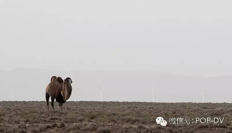 宇宙区长孙连城片段,宇宙天魔电影片段