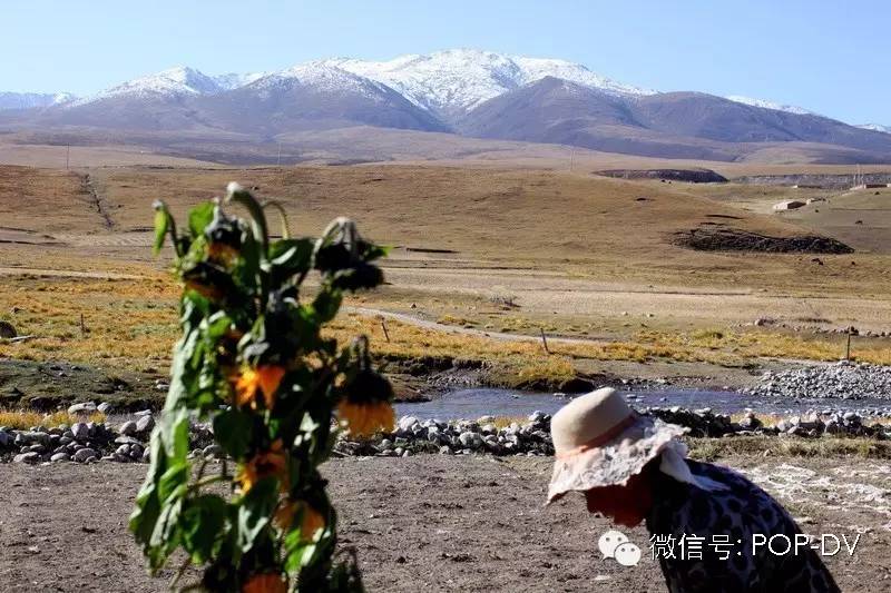 宇宙区长孙连城片段,宇宙天魔电影片段