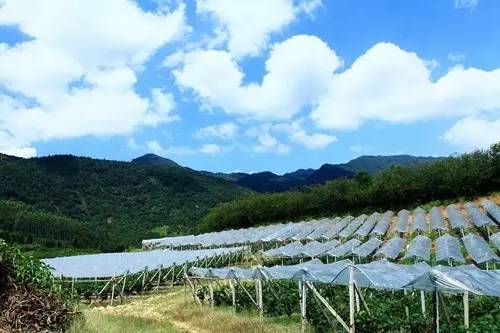 据说，江西人有了这条微信，就能够在韶关打开“仙境之门”！