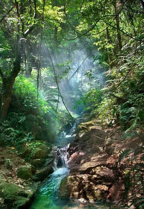 据说，江西人有了这条微信，就能够在韶关打开“仙境之门”！