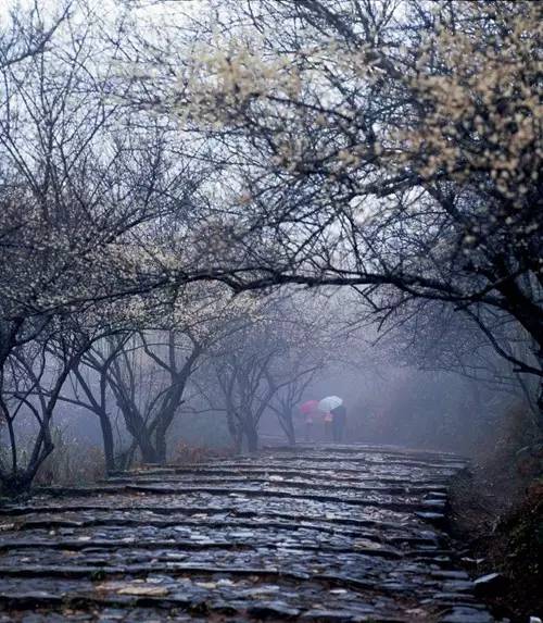 据说，江西人有了这条微信，就能够在韶关打开“仙境之门”！