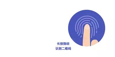 睡莲荷花碗莲水培植物,睡莲荷花的养殖方法和技巧