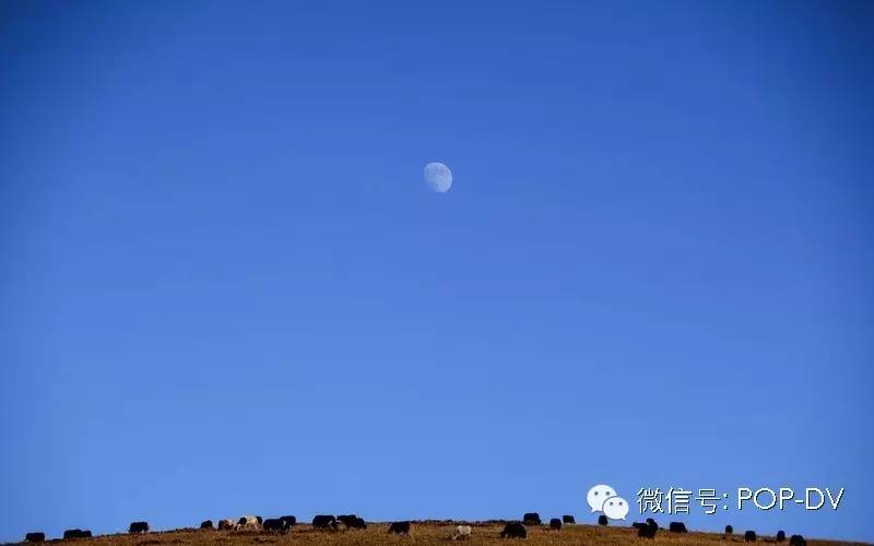 宇宙区长孙连城片段,宇宙天魔电影片段