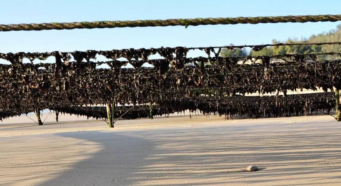 岛外岛外,岛外岛旅游