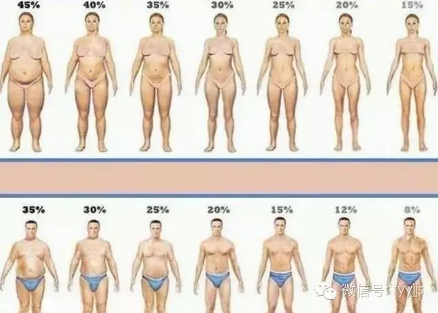 体重秤是怎么测量体脂的,如何自己测量体脂