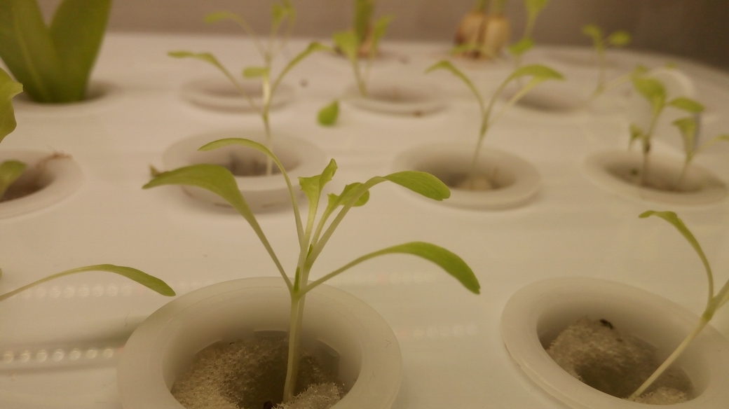 华为畅享5s到底怎么样,华为畅享5好还是华为畅享5s好