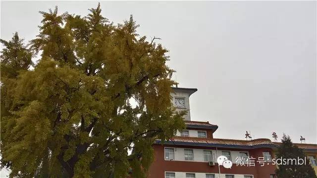 披荆斩棘：不足千元带刺大神Note3实用体验