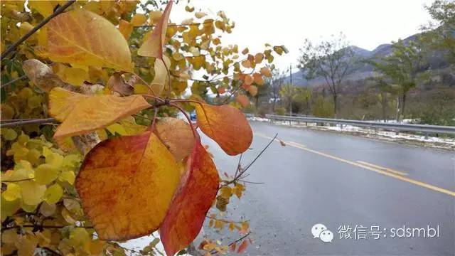 披荆斩棘：不足千元带刺大神Note3实用体验