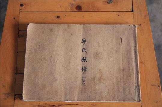 四川总督和四川将军,廖九妹是怎么死的