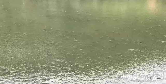 养殖池塘水浑浊怎么处理,如何改善池塘水质老化