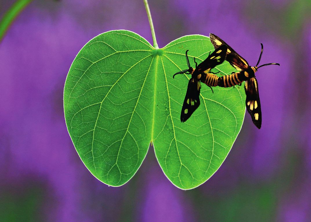 远离城市的自然之美,探寻城市中的自然之美