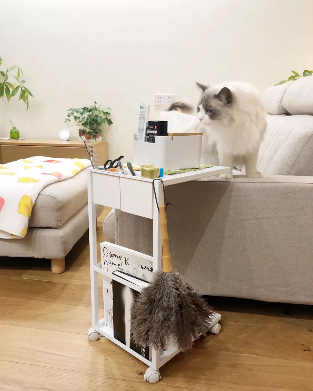 平价种草好物收纳,平价格子收纳好物推荐