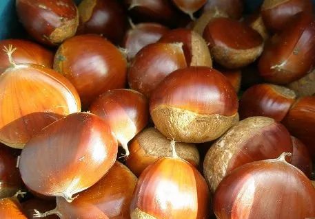 冬季去广西必带特产排行榜推荐,春节广西旅游必备品