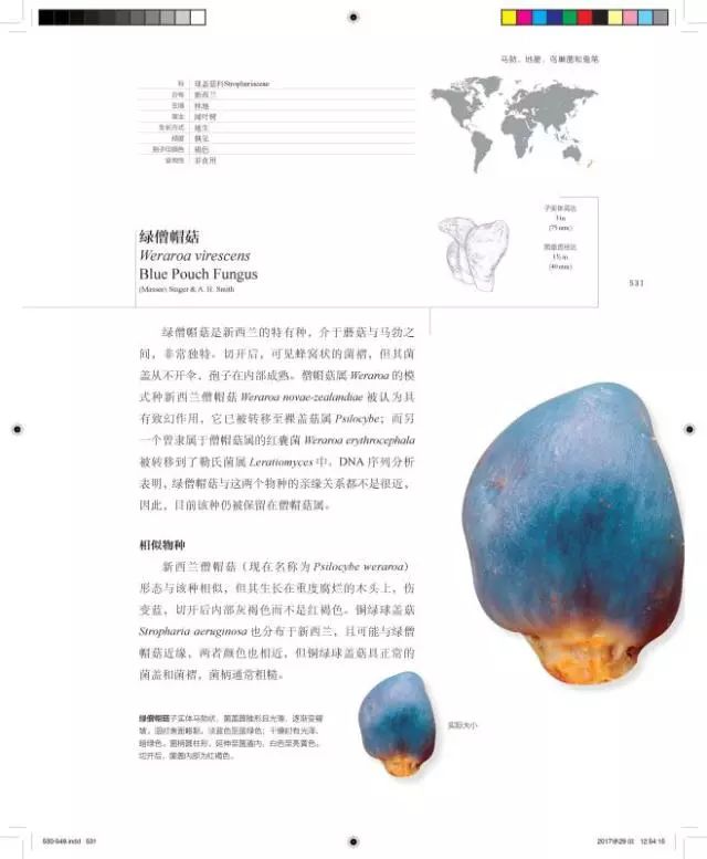 小心这些东西有毒千万别碰,小心有毒的蘑菇完全版