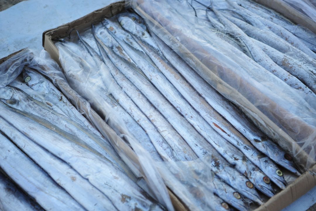 赶大集办年货浓浓年味迎春节,赶年货大集品浓浓年味