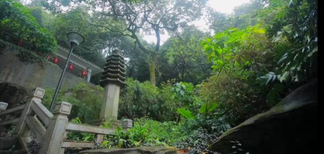 广东旅游门票免费景区推荐,广东最新景区门票优惠政策