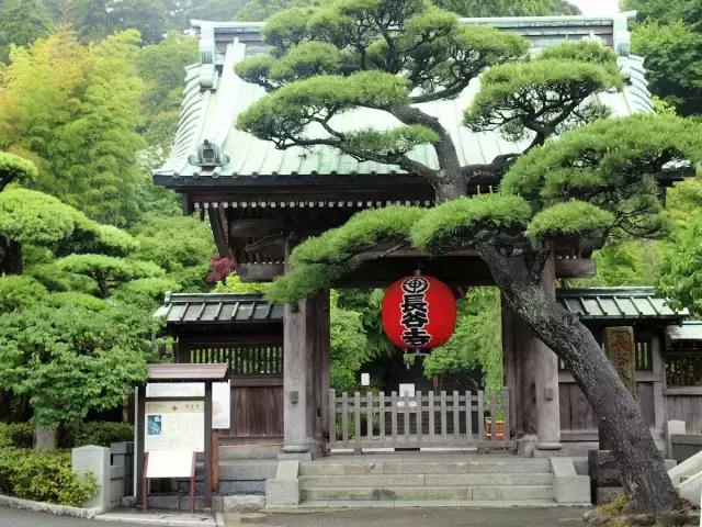 日本旅游攻略镰仓在哪,日本镰仓旅游攻略学生