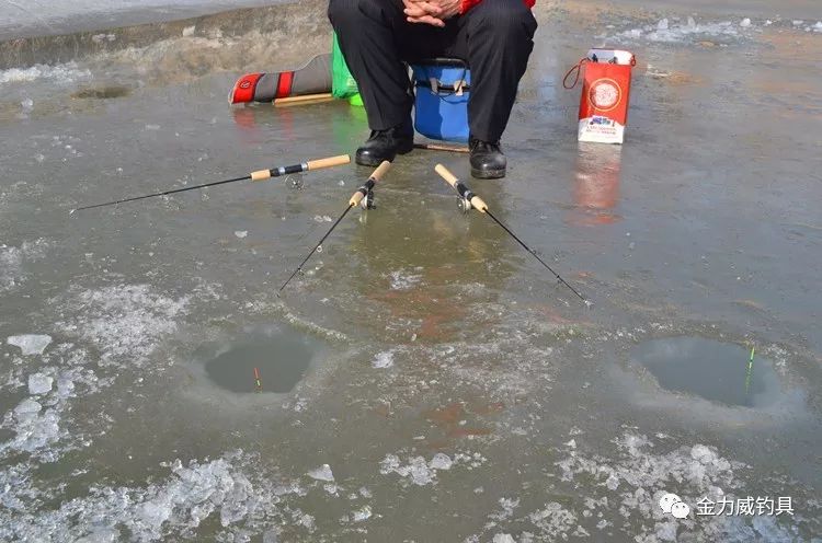 阿布加西亚鱼竿系列分类,鱼竿分类图片大全