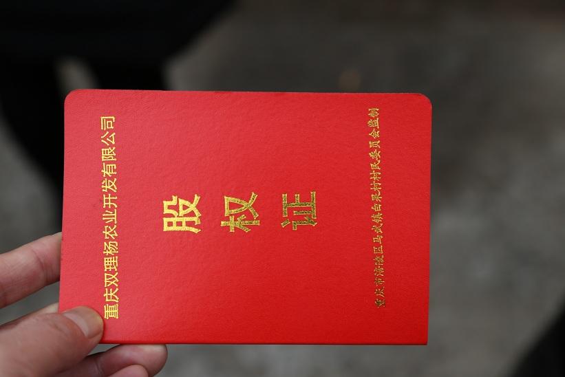 三人合伙最佳股权分配,合伙创业股权怎么分配的