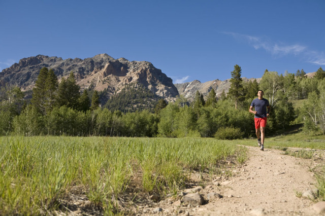 二年级在野外迷路了怎么辨别方向,野外迷路后我们通过什么辨别方向