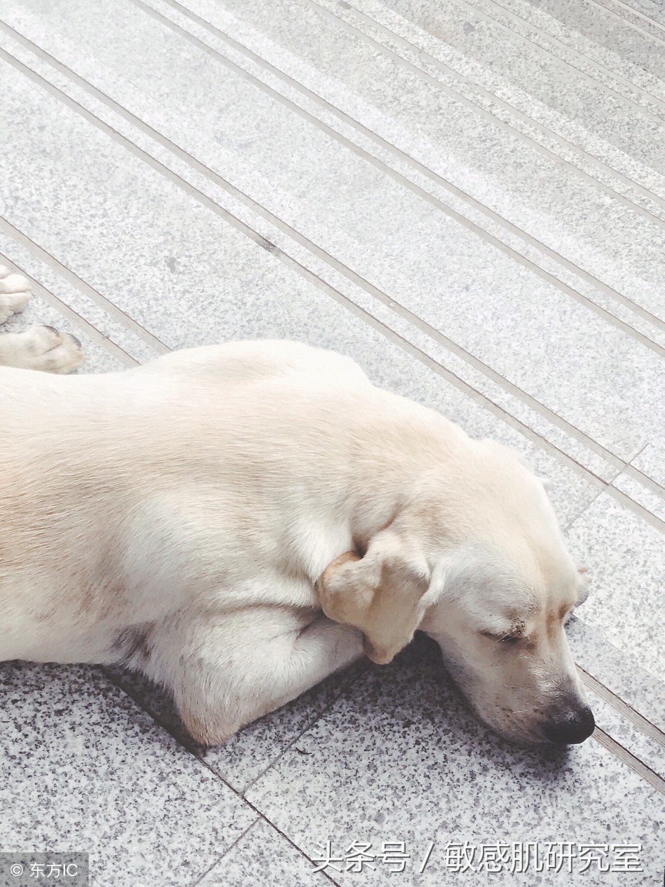 检查理发店染发产品,染发产品质量检查