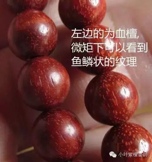 赞比亚血檀和印度小叶紫檀纹理,血檀和小叶紫檀手串对比图