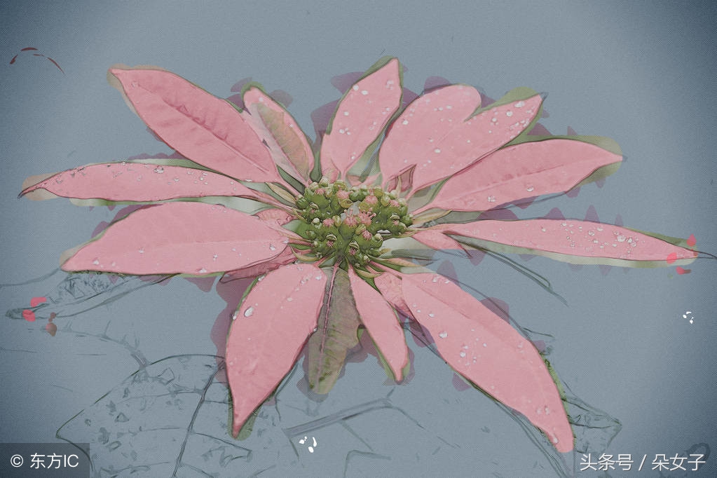 史铁生秋天的怀念结尾戛然而止,史铁生秋天的怀念是什么时候学的