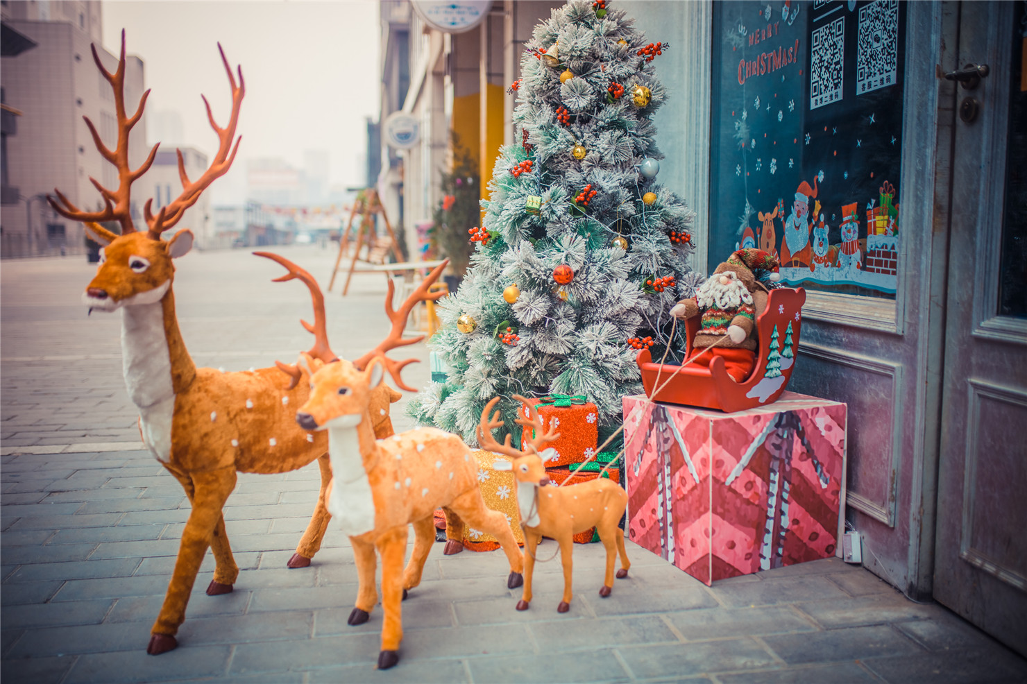 驾比速T5，冬日太原暖心游