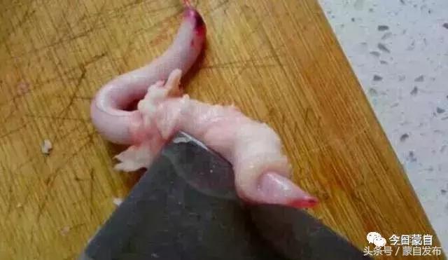 过年了，蒙自的这*猪种**肉千万别买！