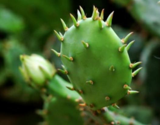 财神最旺的客厅布局,客厅应该放五福财神还是五路财神