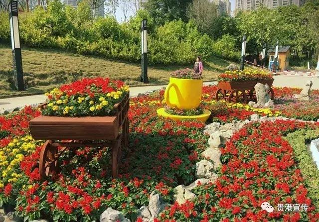 年味十足街拍图片大全,春节贵港街头