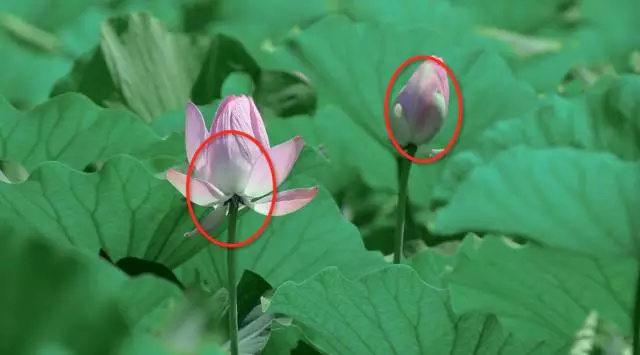 ps撕边效果教程,ps撕边效果名片制作