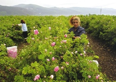 世界上根本没有能用的洗面奶,最不能用的韩国牌洗面奶