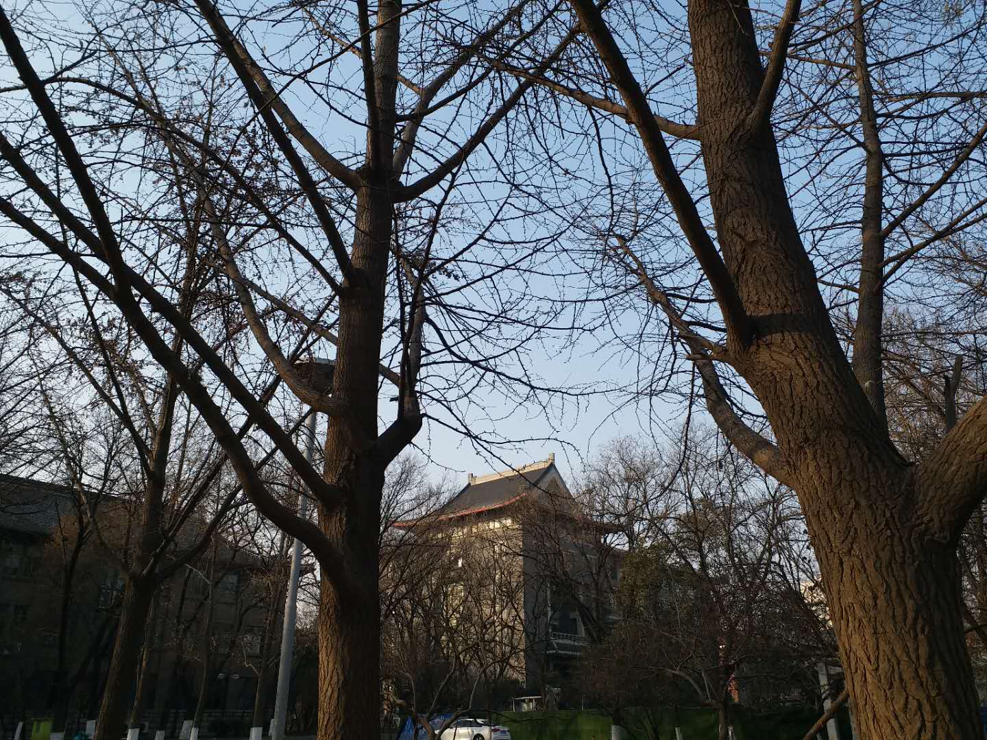 齐鲁医学院简介山东医科大学,山东大学齐鲁医学院老建筑