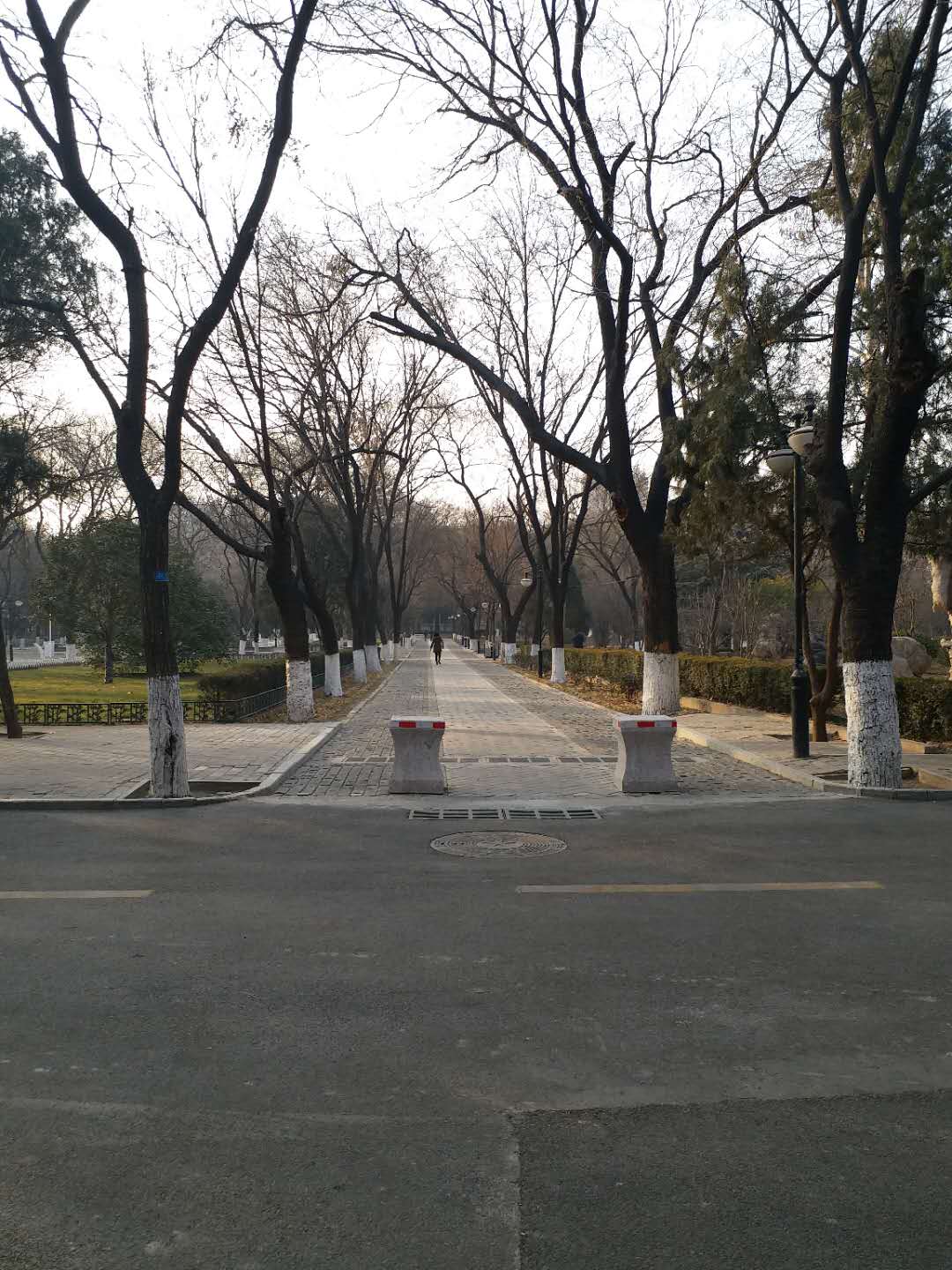 齐鲁医学院简介山东医科大学,山东大学齐鲁医学院老建筑