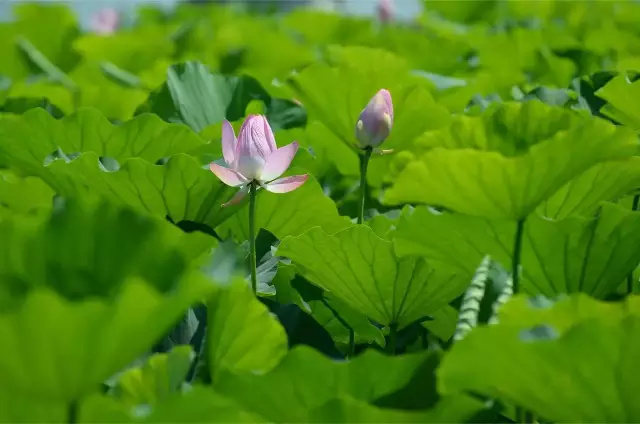 ps撕边效果教程,ps撕边效果名片制作