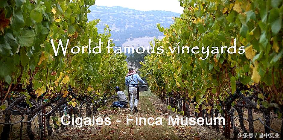 西班牙葡萄酒知名品牌有哪些,西班牙皇家穆苏红葡萄酒