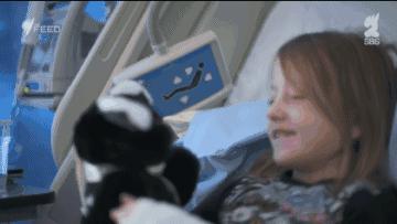 坎贝尔泰迪熊,坎贝尔金丝熊