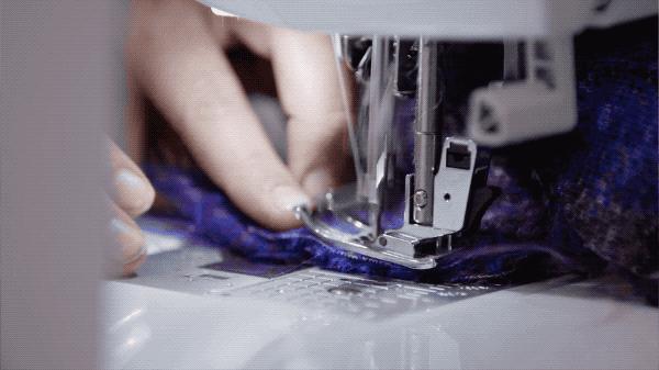 坎贝尔泰迪熊,坎贝尔金丝熊