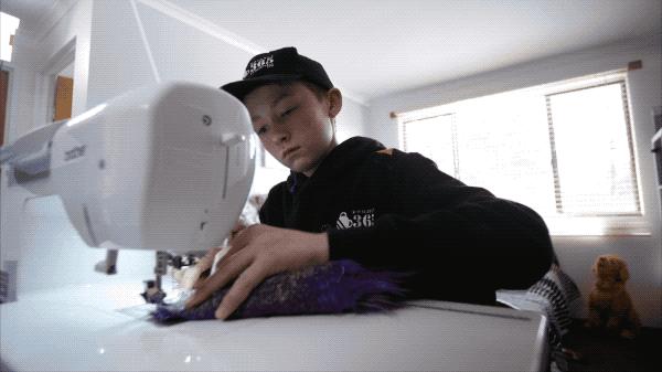 坎贝尔泰迪熊,坎贝尔金丝熊