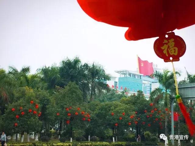 年味十足街拍图片大全,春节贵港街头