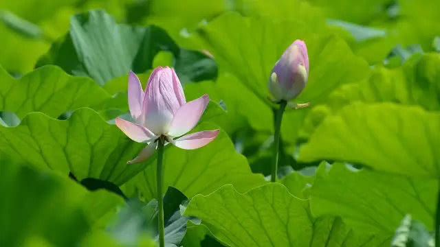 ps撕边效果教程,ps撕边效果名片制作