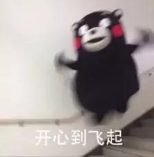 宠物猫自动喂食器推荐,宠物猫智能喂食器和智能喂水器