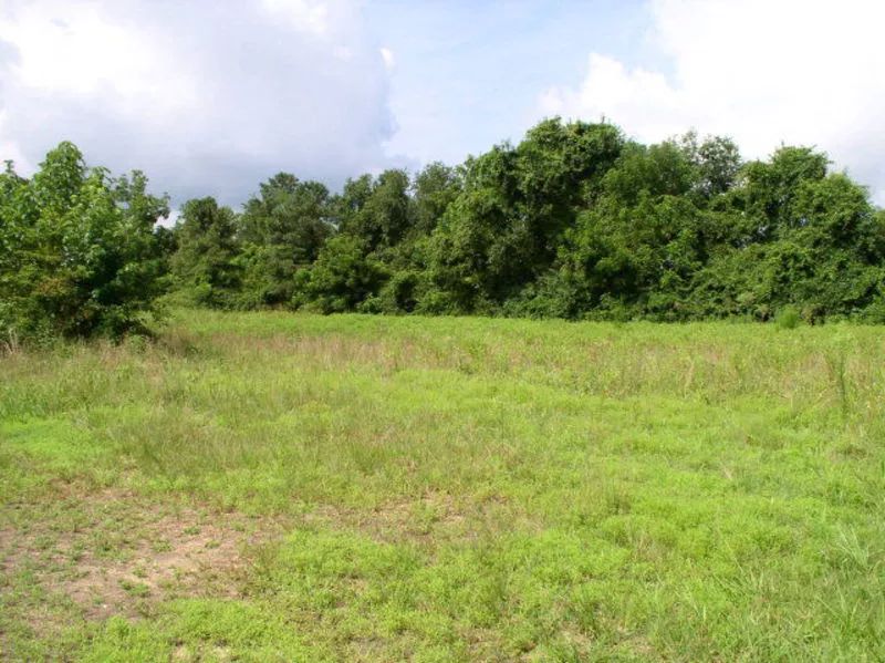 2024梅州楼市最新行情,梅州2018年楼市如何