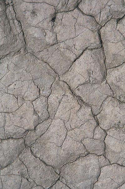 ps魔力艺术效果,ps复古效果图