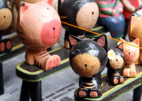 合适猫咪旅游的地方,盘点最美的猫咪风景