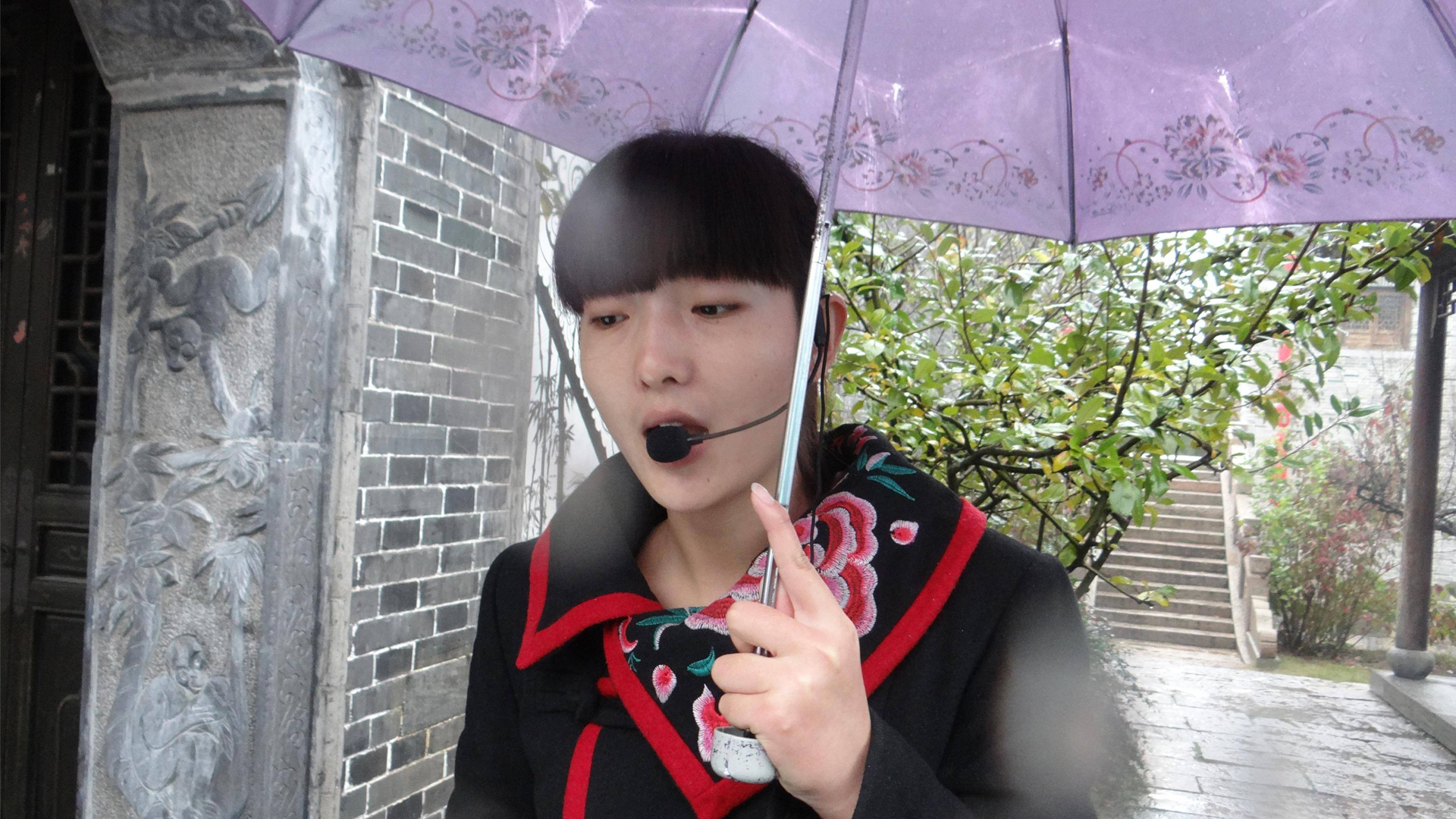 盘点那些黑导游丢人时刻,为何黑导游屡禁不止