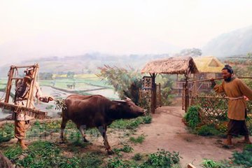 租庸调制是开元盛世吗,租庸调制对唐朝的影响
